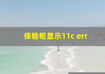 保险柜显示11c err